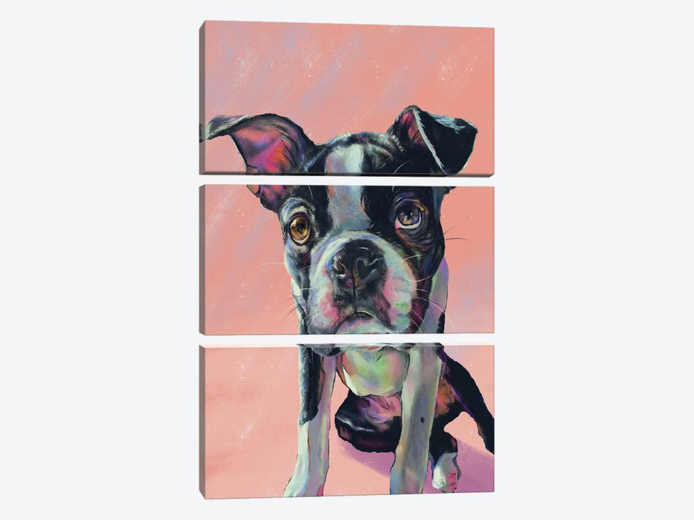 For The Love Of Boston Terrier by Allison Gray 3-piece Art Print