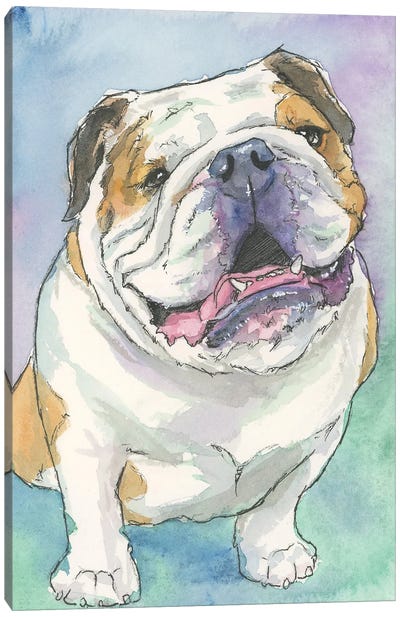 Happy English Bulldog Canvas Art Print - Allison Gray