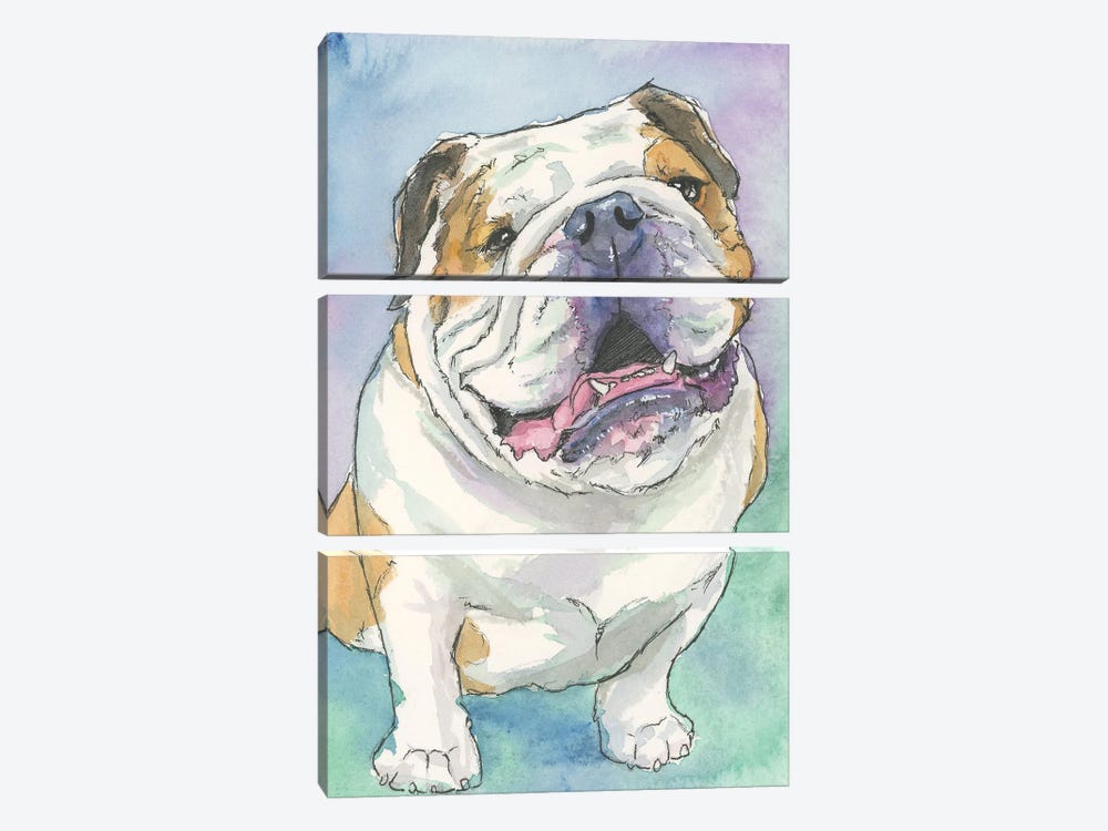 Happy English Bulldog by Allison Gray 3-piece Canvas Art