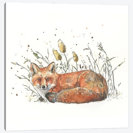 Red Fox In The Grass Canvas Print #AGY175} by Allison Gray Canvas Art