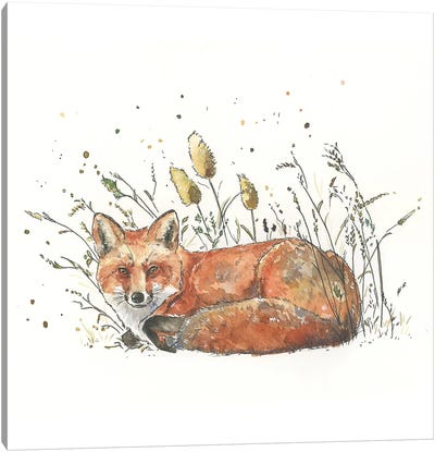 Red Fox In The Grass Canvas Art Print - Grass Art