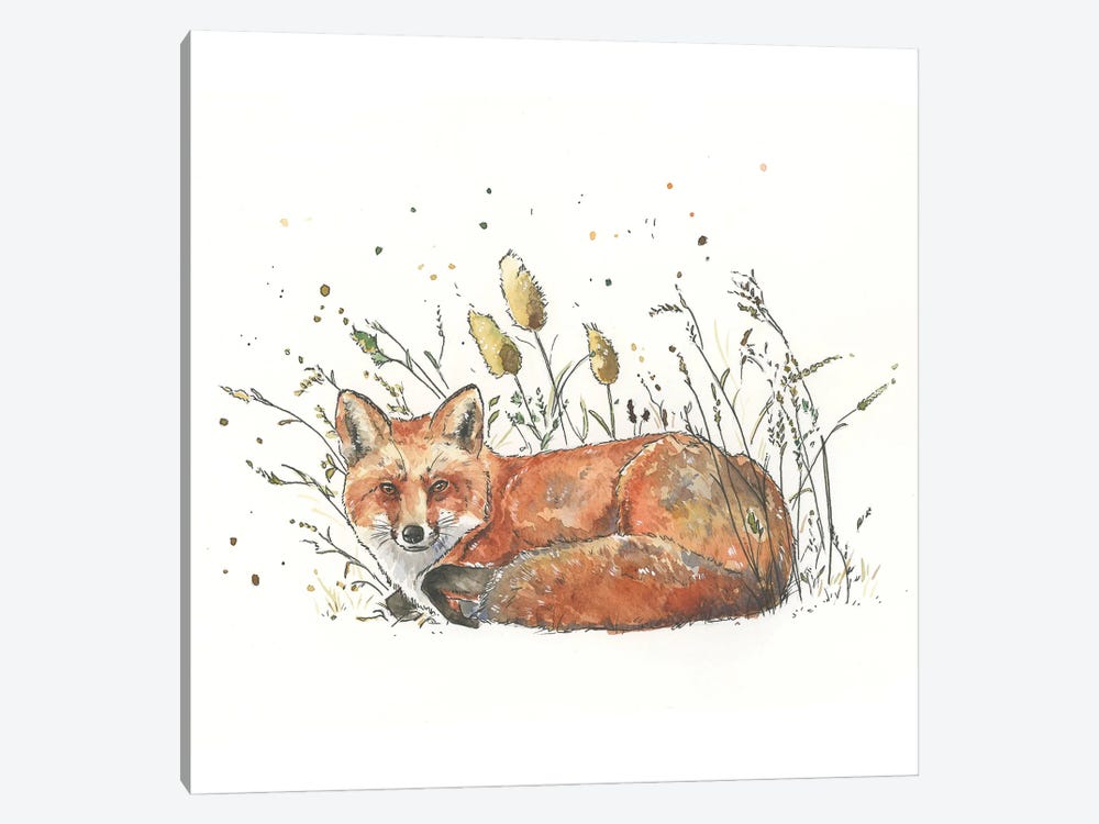 Red Fox In The Grass by Allison Gray 1-piece Canvas Print