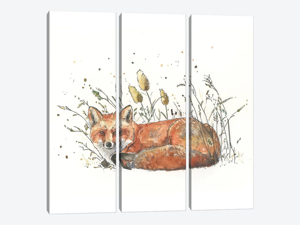 Red Fox In The Grass by Allison Gray 3-piece Art Print