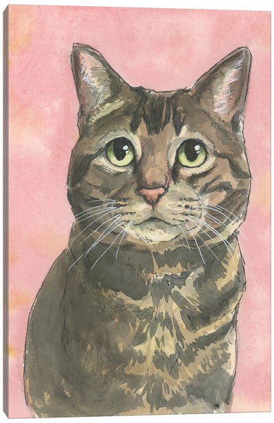 Rosy Brown Tabby Canvas Art Print - Tabby Cat Art