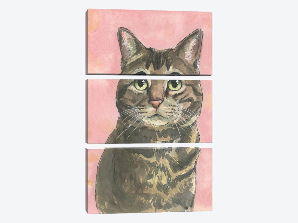 Rosy Brown Tabby by Allison Gray 3-piece Canvas Artwork