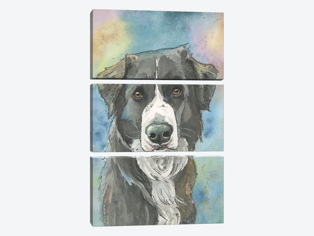 Sweet Border Collie by Allison Gray 3-piece Canvas Print