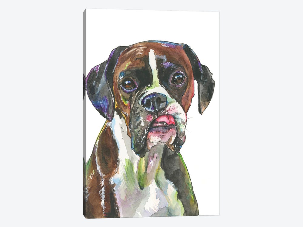 The Glorious Boxer by Allison Gray 1-piece Canvas Print
