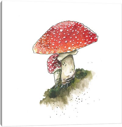 Toadstool Friends Canvas Art Print - Mushroom Art