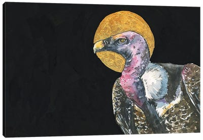 Vulture Canvas Art Print - Allison Gray