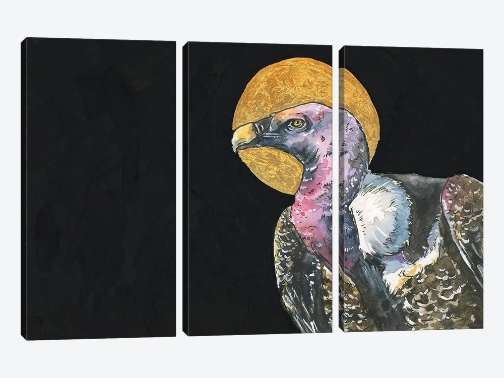 Vulture by Allison Gray 3-piece Canvas Artwork