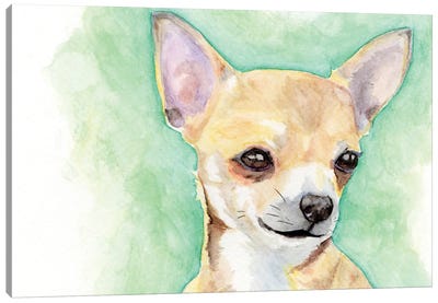 Chihuahua Canvas Art Print - Allison Gray