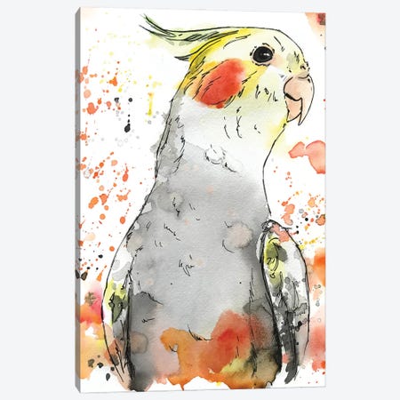 Cockatiel Canvas Print #AGY30} by Allison Gray Canvas Art