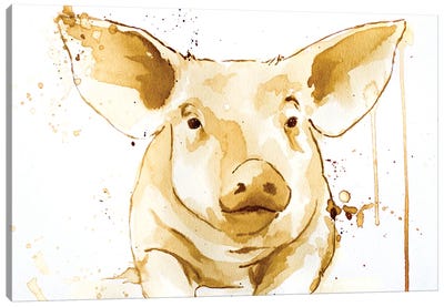 Coffee Pig Canvas Art Print - Allison Gray