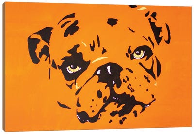 Contrast Bulldog Canvas Art Print - Bulldog Art