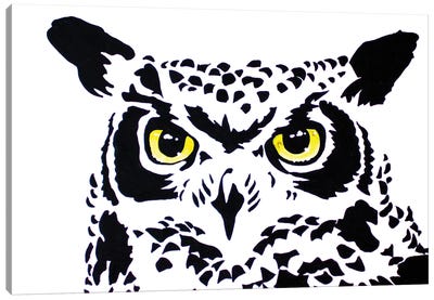 Contrast Owl Canvas Art Print - Allison Gray