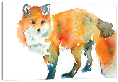 Fox Canvas Art Print - Allison Gray