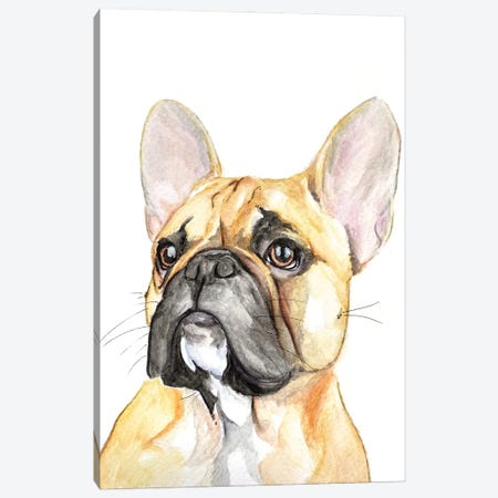 French Bulldog Canvas Print #AGY53} by Allison Gray Canvas Artwork