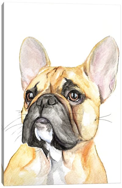 French Bulldog Canvas Art Print - Allison Gray