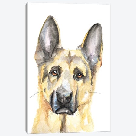 German Shepherd Canvas Print #AGY57} by Allison Gray Art Print