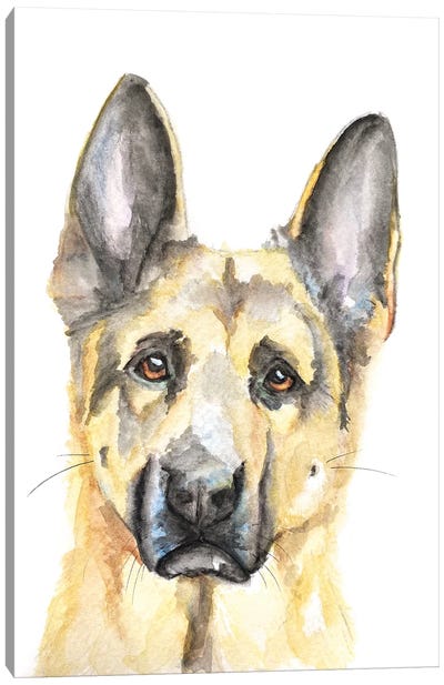 German Shepherd Canvas Art Print - Allison Gray
