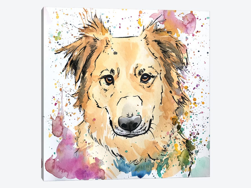 Golden Collie Mix Dog by Allison Gray 1-piece Canvas Print