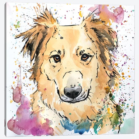 Golden Collie Mix Dog Canvas Print #AGY60} by Allison Gray Canvas Art Print