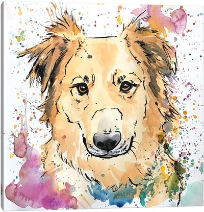 Golden Collie Mix Dog Canvas Art Print - Rough Collies