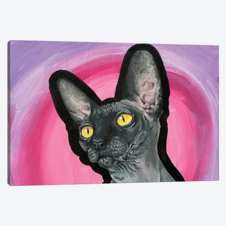 Hairless Cat Canvas Print #AGY66} by Allison Gray Canvas Artwork