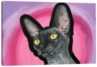 Hairless Cat Canvas Art Print - Allison Gray
