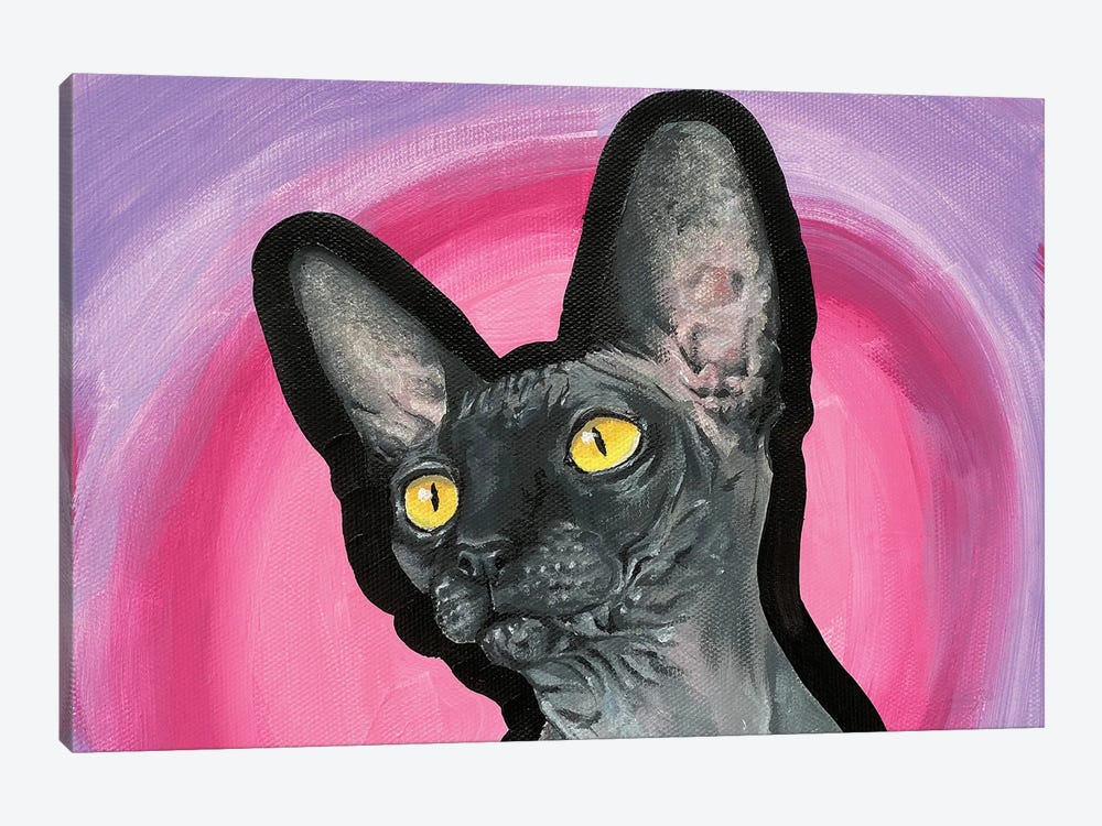 Hairless Cat by Allison Gray 1-piece Art Print