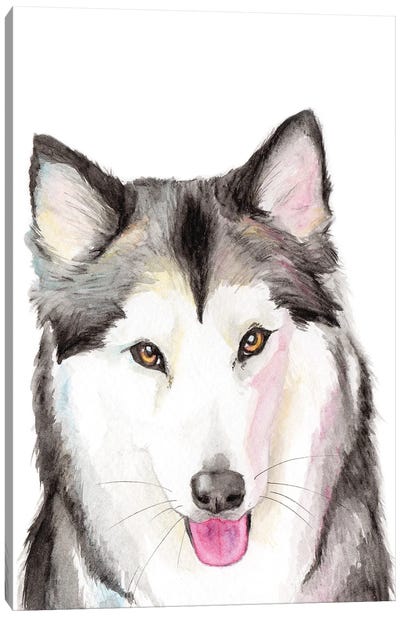 Husky Canvas Art Print - Allison Gray