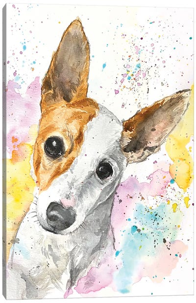Jack Russell Terrier Canvas Art Print - Allison Gray
