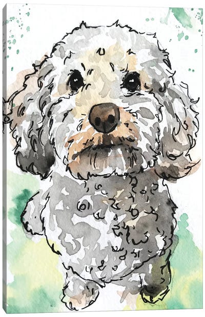 Miniature Poodle Canvas Art Print - Poodle Art