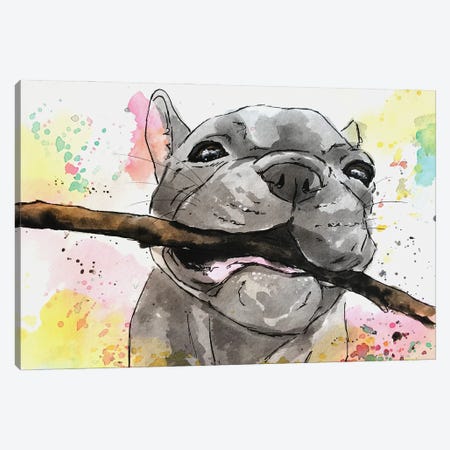 Playful French Bulldog Puppy Canvas Print #AGY93} by Allison Gray Canvas Wall Art
