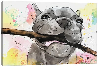 Playful French Bulldog Puppy Canvas Art Print