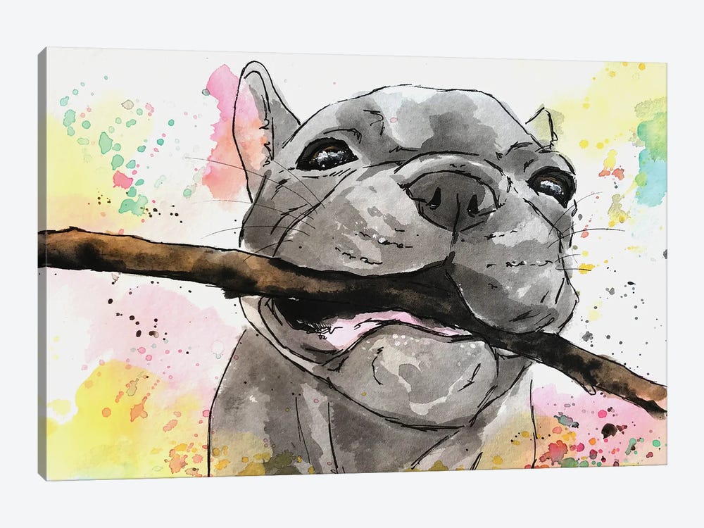 Playful French Bulldog Puppy by Allison Gray 1-piece Canvas Print