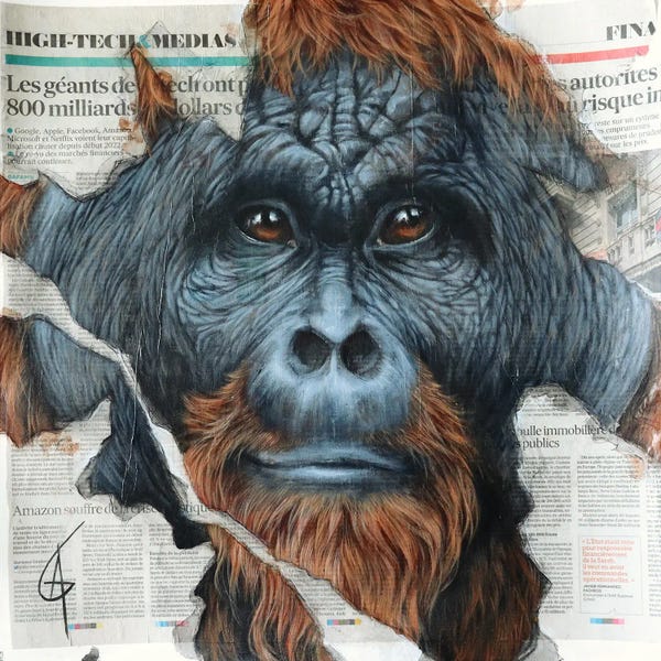 Orangutans: Inkawu by ANAGRUZ