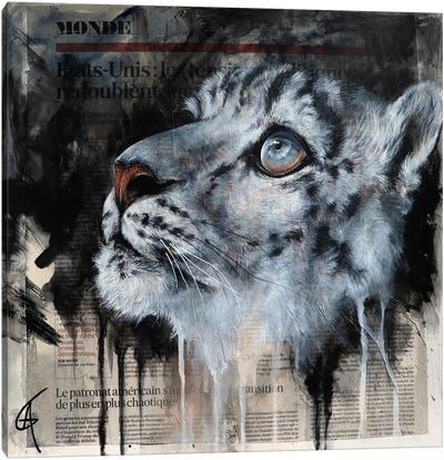Kankara Canvas Art Print - Leopard Art