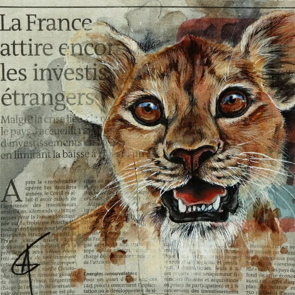 Emotive Animals: Kiara by ANAGRUZ