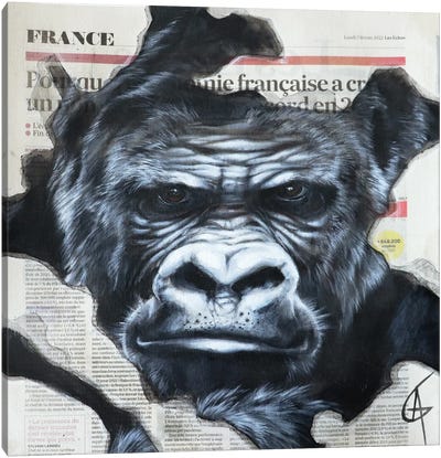 Kori Canvas Art Print - Gorilla Art