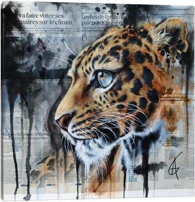 Najuka Canvas Art Print - Leopard Art