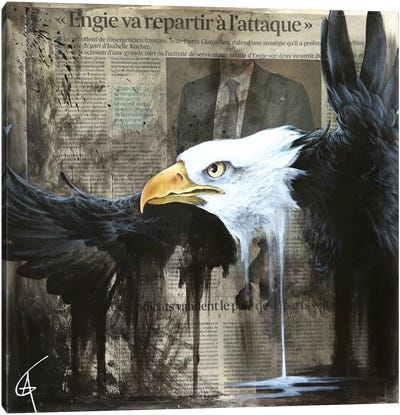 Orao Canvas Art Print - Eagle Art