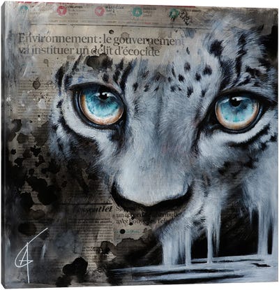 Tendua Canvas Art Print - Leopard Art
