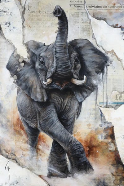 Emotive Animals: Bijak by ANAGRUZ