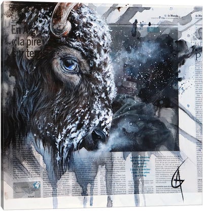 Theluji Canvas Art Print - Emotive Animals