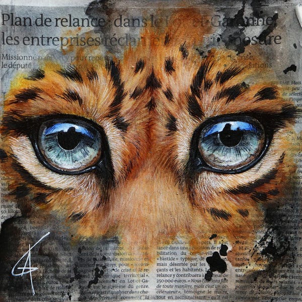 Emotive Animals: Wo by ANAGRUZ