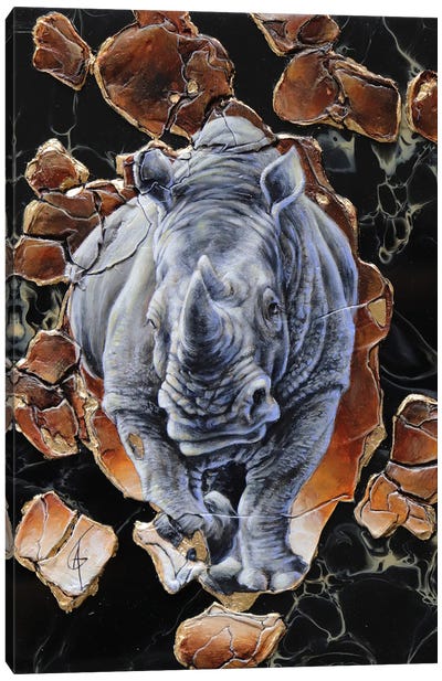 Ango Canvas Art Print - Rhinoceros Art