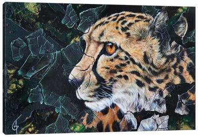 Anya Canvas Art Print - Cheetah Art