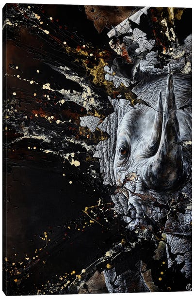 Fragile Canvas Art Print - Rhinoceros Art