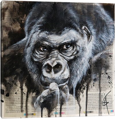Django Canvas Art Print - Gorilla Art